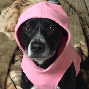 Meet your Posher, Corey